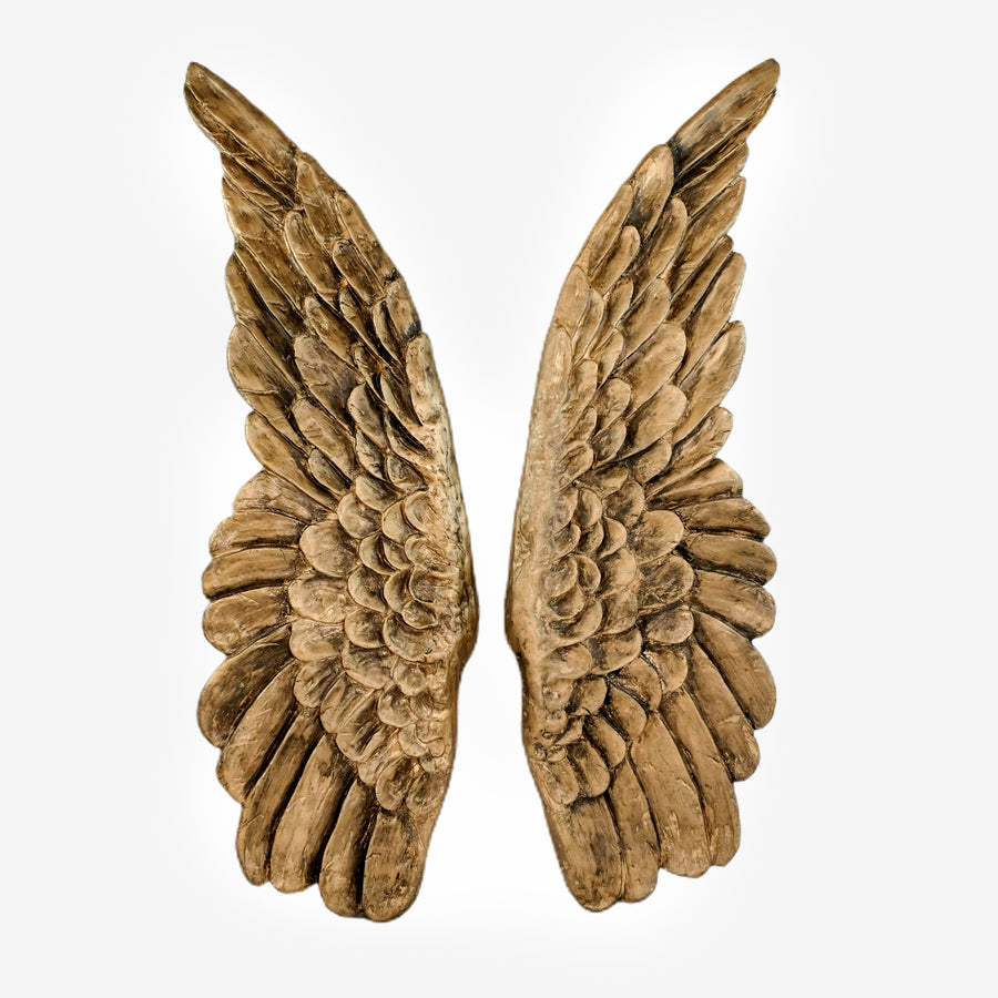 wall decor angel wings in Bronze