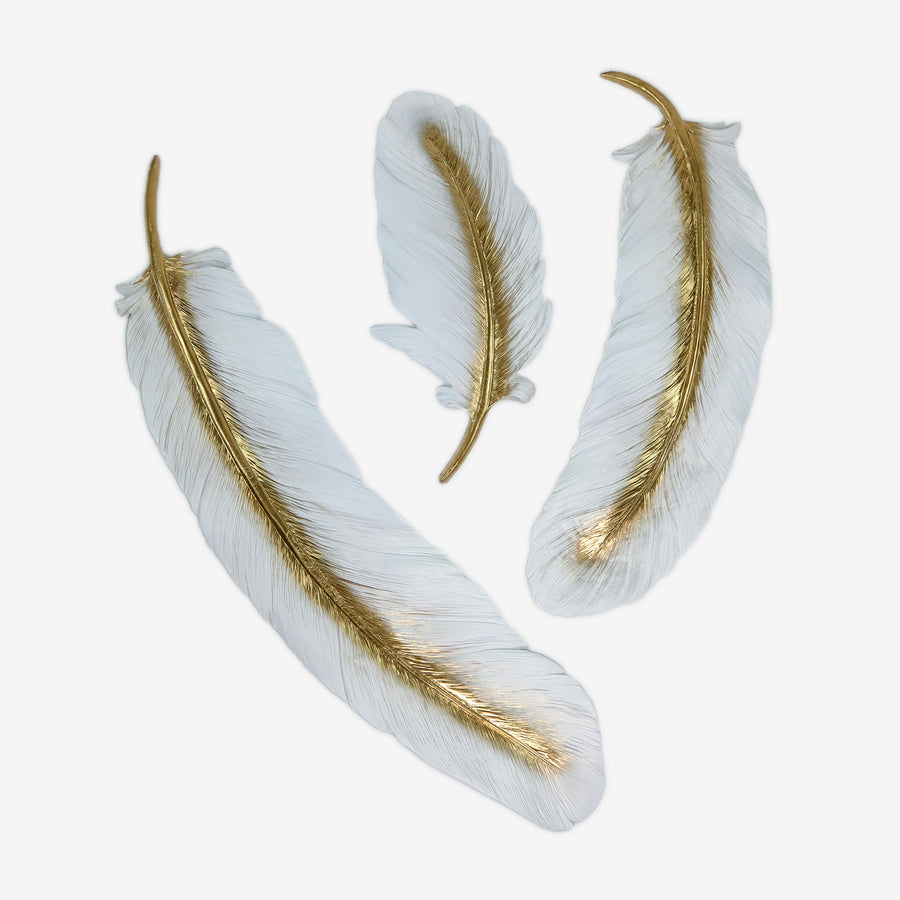 Light Feather Wall Decor in White and Gold