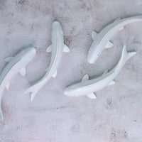 Smooth Fish set Wall Decor in White